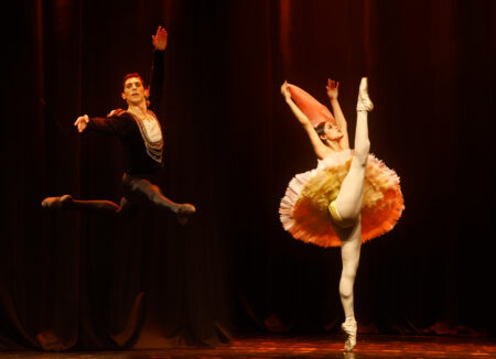 Participación con ovación de pie para el Ballet Clásico del Parque imagen-7