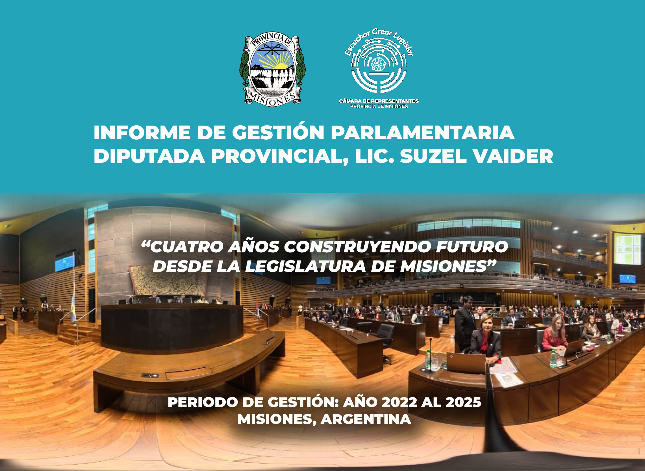 Legislatura: tras 4 años de trabajo legislativo, la diputada Vaider presentó su informe final de gestión imagen-2