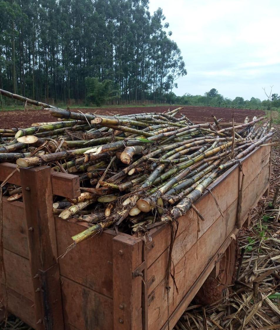 El Gobernador inauguró el puente de hormigón sobre el arroyo Santa María, en el paraje La Corita imagen-12