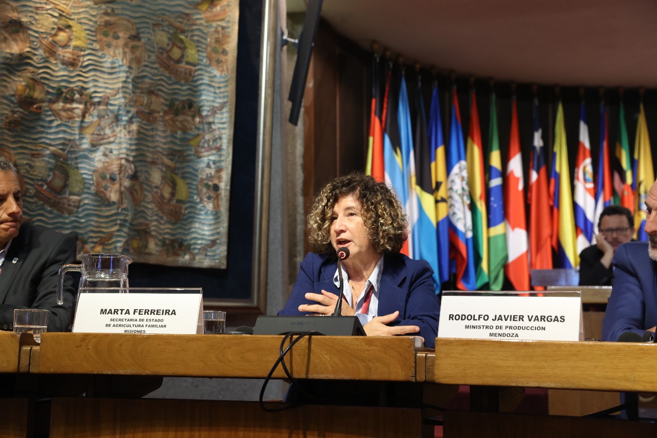 Misiones participa en Cumbre Internacional de Desarrollo Productivo y abona a la construcción de una Agenda Federal 3 Misiones participa en Cumbre Internacional de Desarrollo Productivo y abona a la construcción de una Agenda Federal imagen-2