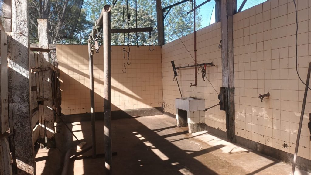 Productores crearon la Asociación Matadero Alto Uruguay para preservar fuentes de trabajo en la región 5 Productores crearon la Asociación Matadero Alto Uruguay para preservar fuentes de trabajo en la región imagen-4