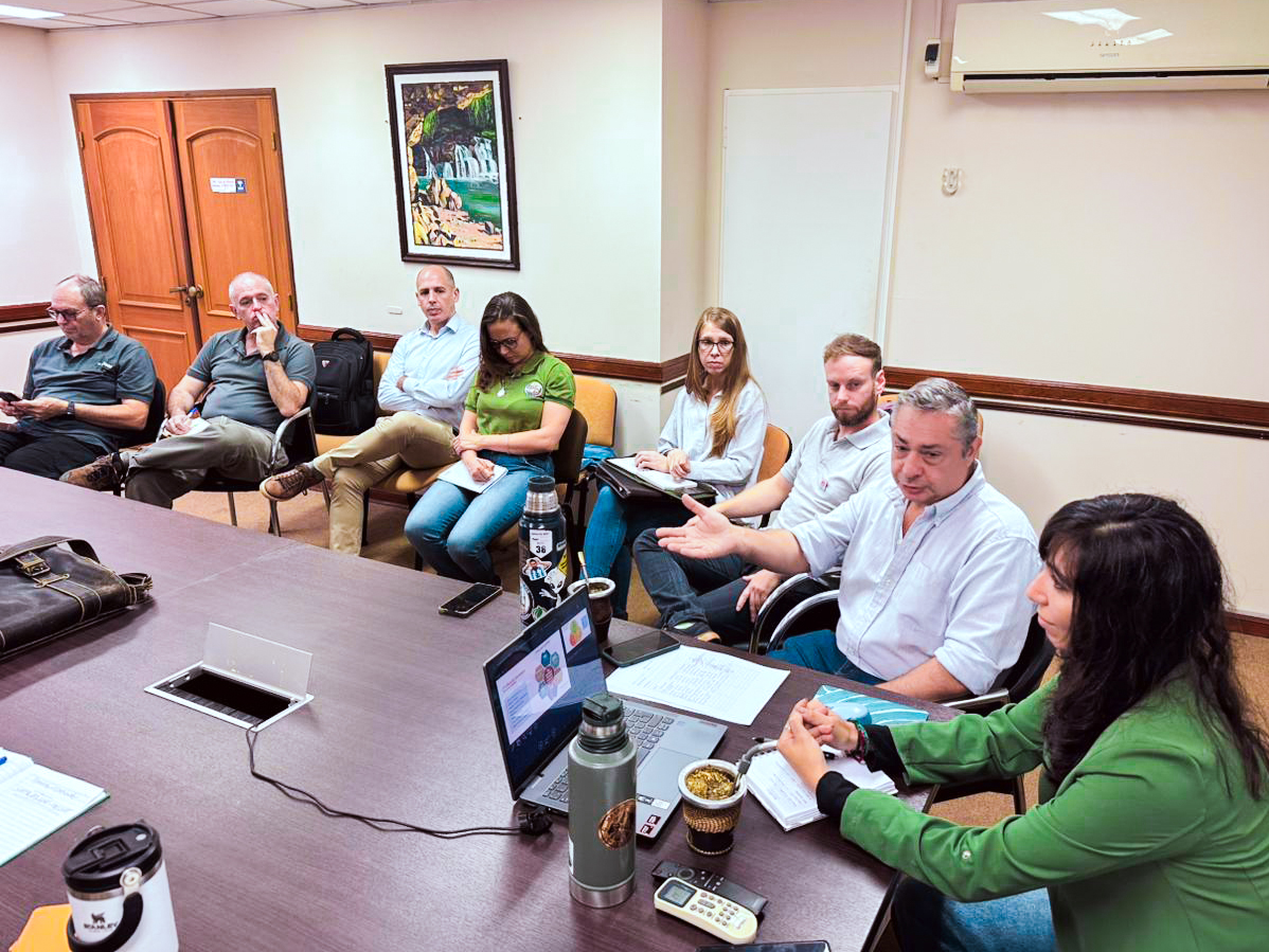 Avanza la planificación estratégica para el sector frutícola 7 Avanza la planificación estratégica para el sector frutícola imagen-6