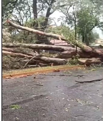 Temporal en Posadas: cortada la avenida General San Martín, a la altura de El Acuerdo Temporal en Posadas: cortada la avenida General San Martín, a la altura de El Acuerdo imagen-28
