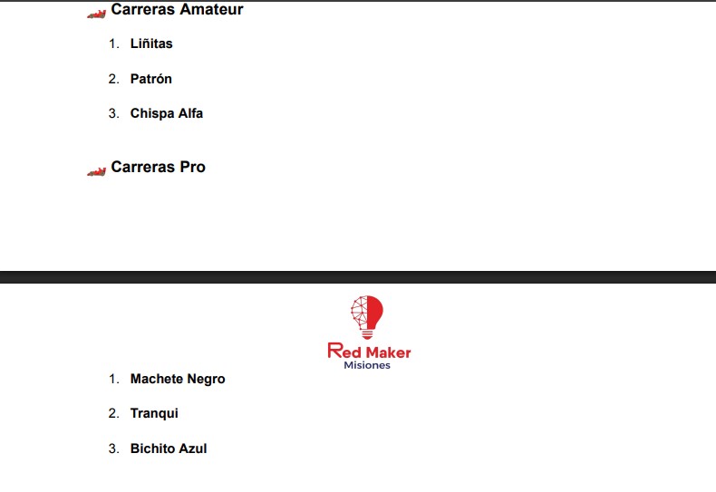 Gran Final de la Copa Robótica Misiones: cientos de estudiantes compitieron por el título provincial 23 Gran Final de la Copa Robótica Misiones: cientos de estudiantes compitieron por el título provincial imagen-22