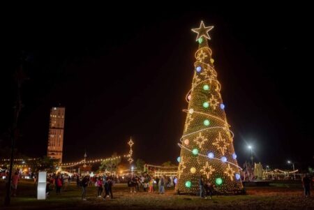 Posadas impulsa la ornamentación navideña con materiales reciclados y convoca a los barrios a participar imagen-9