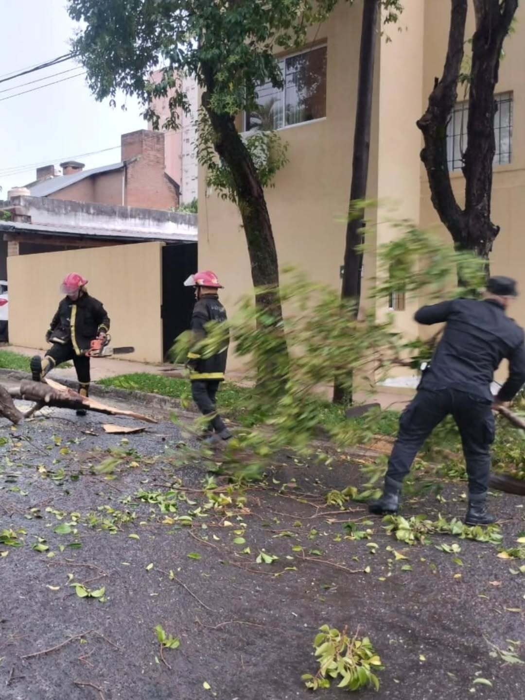 Tormenta en Misiones: caída de árboles, cables sueltos y daños estructurales movilizaron a la Policía 5 Tormenta en Misiones: caída de árboles, cables sueltos y daños estructurales movilizaron a la Policía imagen-4