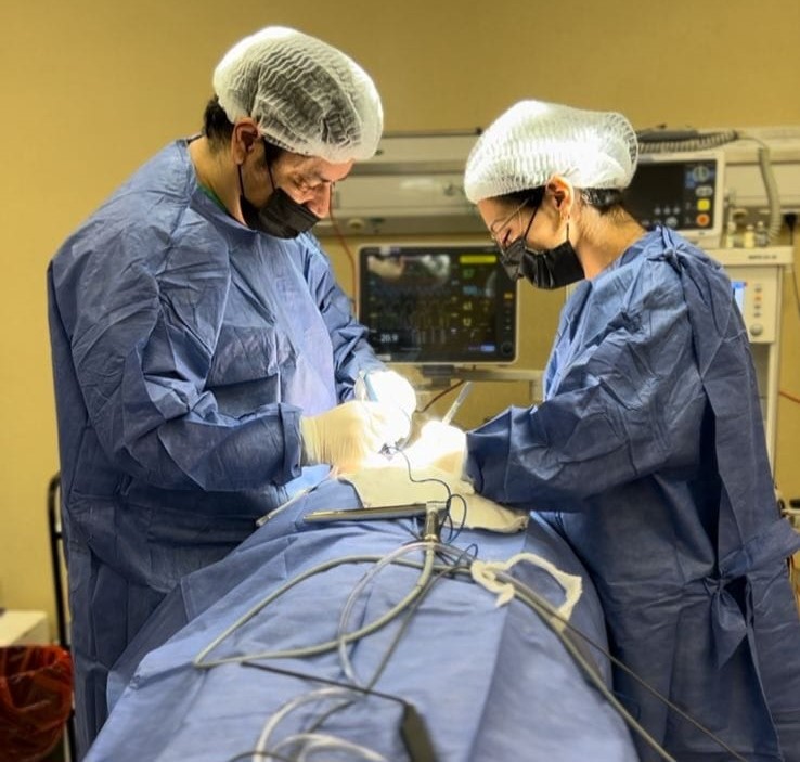 El Hospital Favaloro incorpora nuevas especialidades que potencian su capacidad resolutiva imagen-4