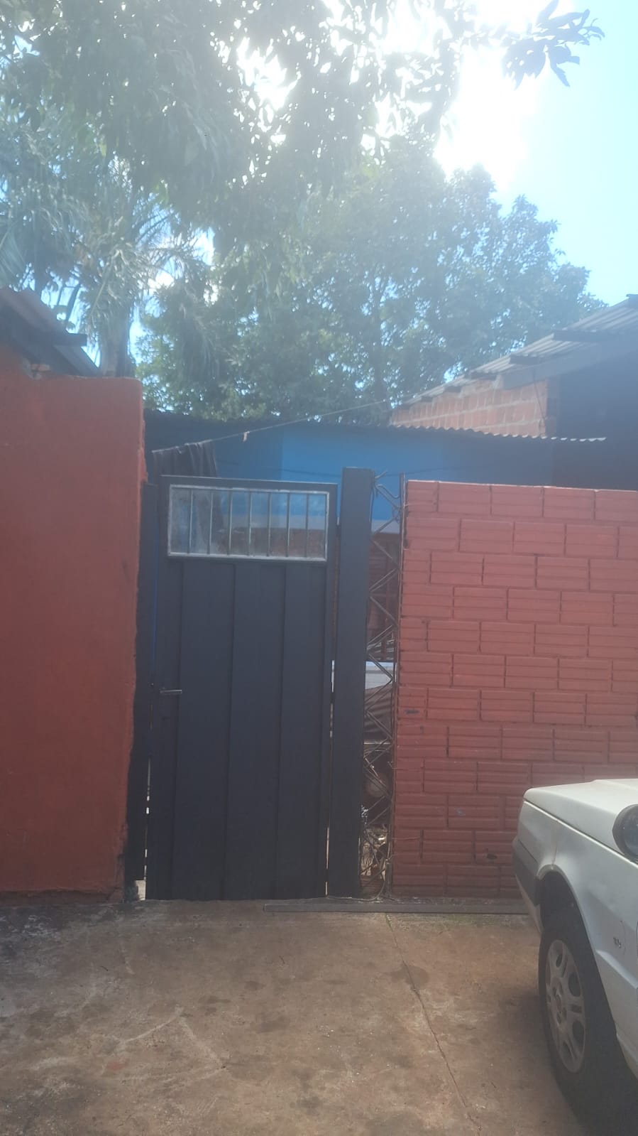 Dos mujeres fueron hospitalizadas tras ser atacadas por perros en Posadas 2 Dos mujeres fueron hospitalizadas tras ser atacadas por perros en Posadas imagen-1