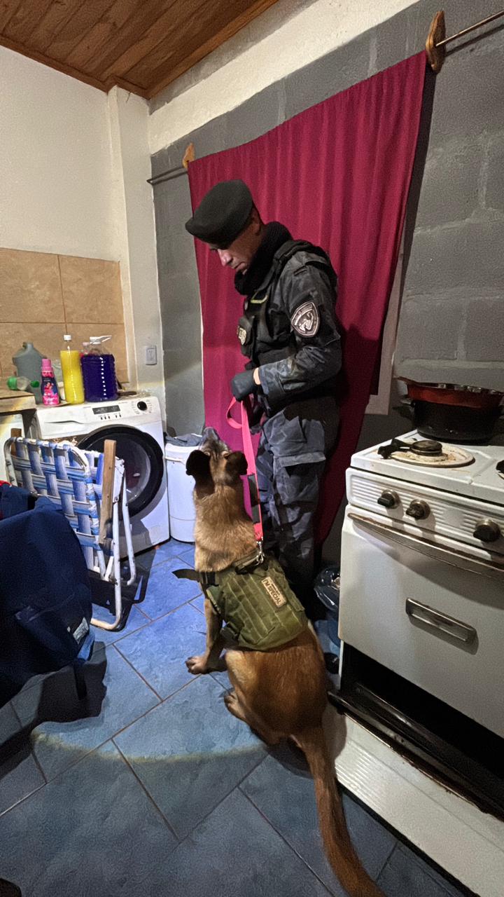 Otra boca de expendio de drogas desarticulada: investigación policial permitió arrestar al dealer en Aristóbulo del Valle 7 Otra boca de expendio de drogas desarticulada: investigación policial permitió arrestar al dealer en Aristóbulo del Valle imagen-6