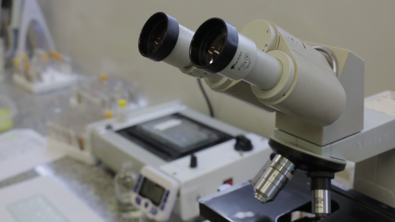 Noviembre Azul: el Madariaga tiene un abordaje integral del cáncer de próstata 9 Noviembre Azul: el Madariaga tiene un abordaje integral del cáncer de próstata imagen-8