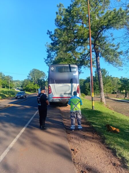Detectan a un colectivero alcoholizado que trasladaba 24 pasajeros por la Ruta 103 Detectan a un colectivero alcoholizado que trasladaba 24 pasajeros por la Ruta 103 imagen-3