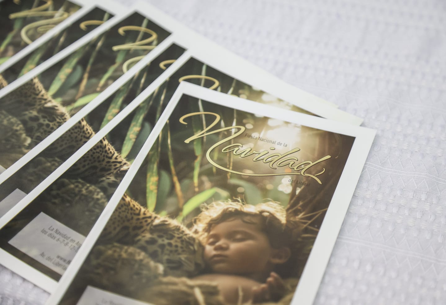 Passalacqua presentó la nueva edición de la Fiesta Nacional de la Navidad del Litoral, de Alem 7 Passalacqua presentó la nueva edición de la Fiesta Nacional de la Navidad del Litoral, de Alem imagen-6