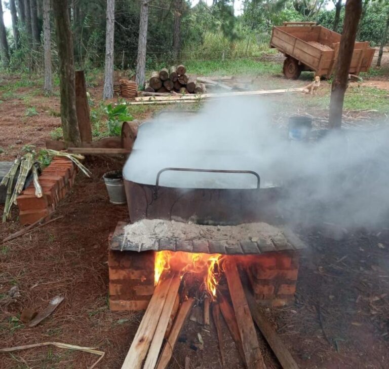 Una chacra multi productiva de Alba Posse mantiene la tradición centenaria de elaborar melado imagen-47