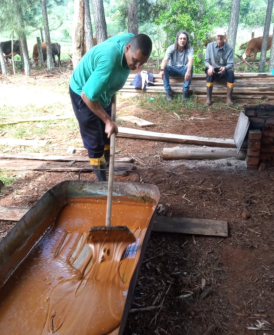 Una chacra multi productiva de Alba Posse mantiene la tradición centenaria de elaborar melado imagen-2
