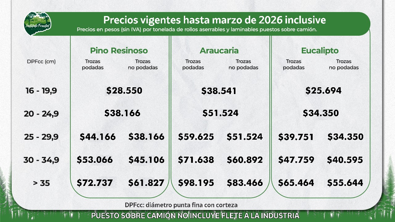 El Infopro resolvió mantener congelados los precios de la materia prima forestal por seis meses 5 El Infopro resolvió mantener congelados los precios de la materia prima forestal por seis meses imagen-4