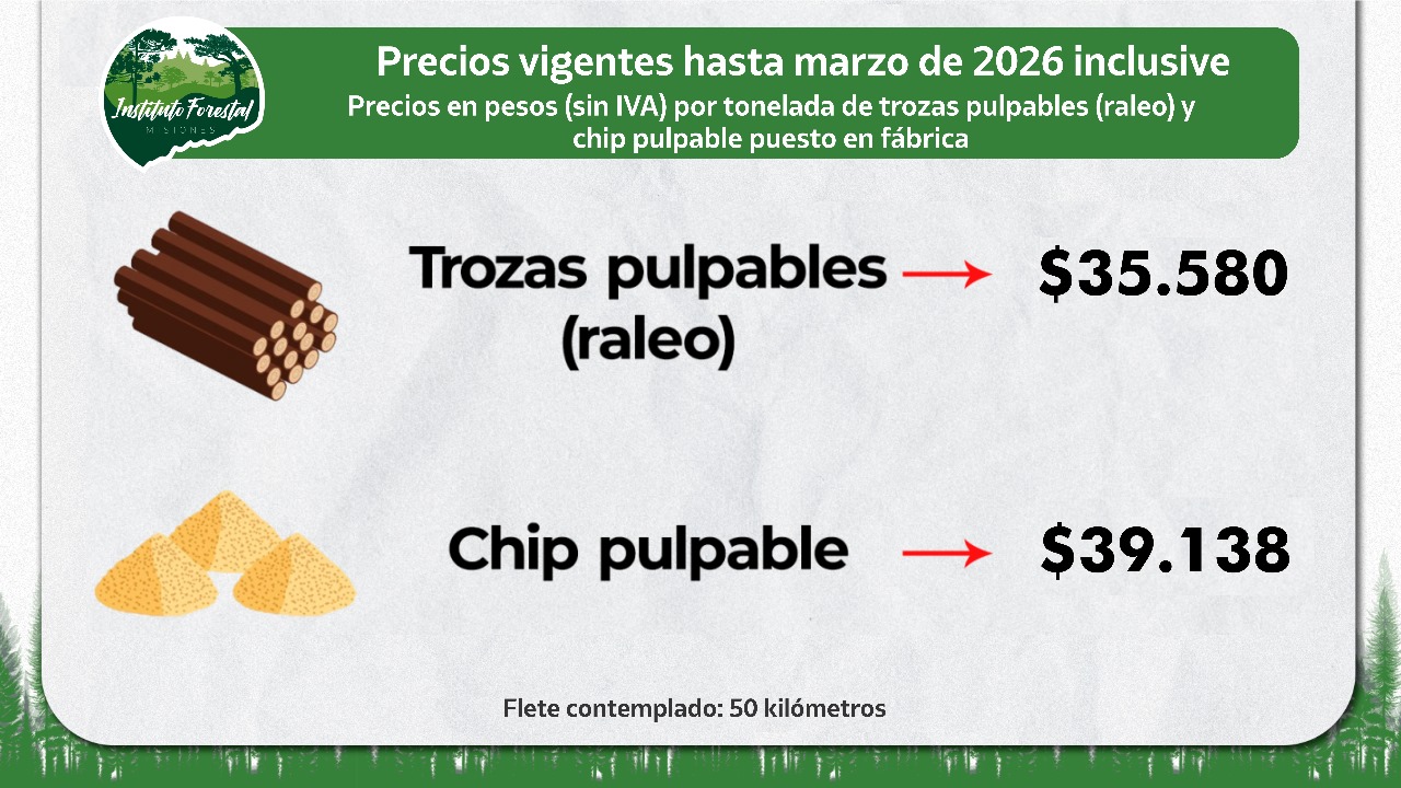 El Infopro resolvió mantener congelados los precios de la materia prima forestal por seis meses 7 El Infopro resolvió mantener congelados los precios de la materia prima forestal por seis meses imagen-6