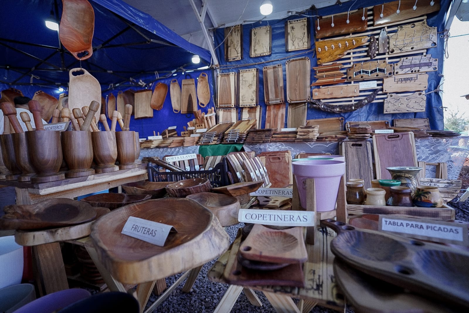 Passalacqua inauguró en San Vicente la 40ta Fiesta Nacional de la Madera, que "dignifica a todo un sector productivo de la provincia" 10 Passalacqua inauguró en San Vicente la 40ta Fiesta Nacional de la Madera, que "dignifica a todo un sector productivo de la provincia" imagen-9