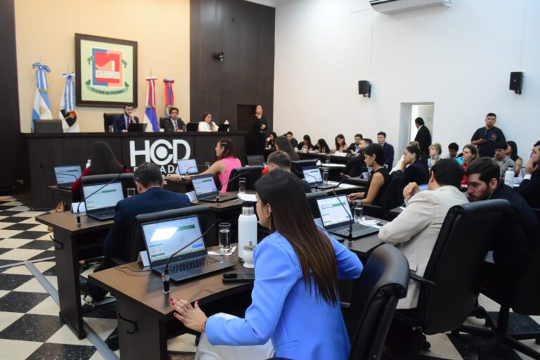 Concejales presentan un proyecto para regular los eventos privados masivos en Posadas imagen-34