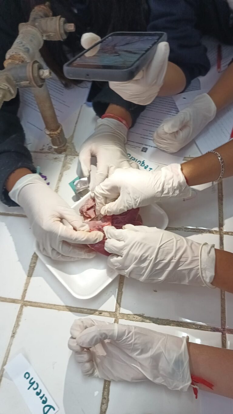 La Epet Nº 2 realizará su Expo Técnica 2025 imagen-23