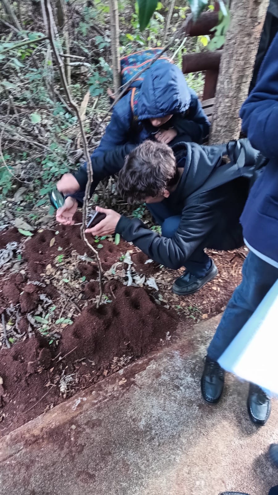 La Epet Nº 2 realizará su Expo Técnica 2025 9 La Epet Nº 2 realizará su Expo Técnica 2025 imagen-8