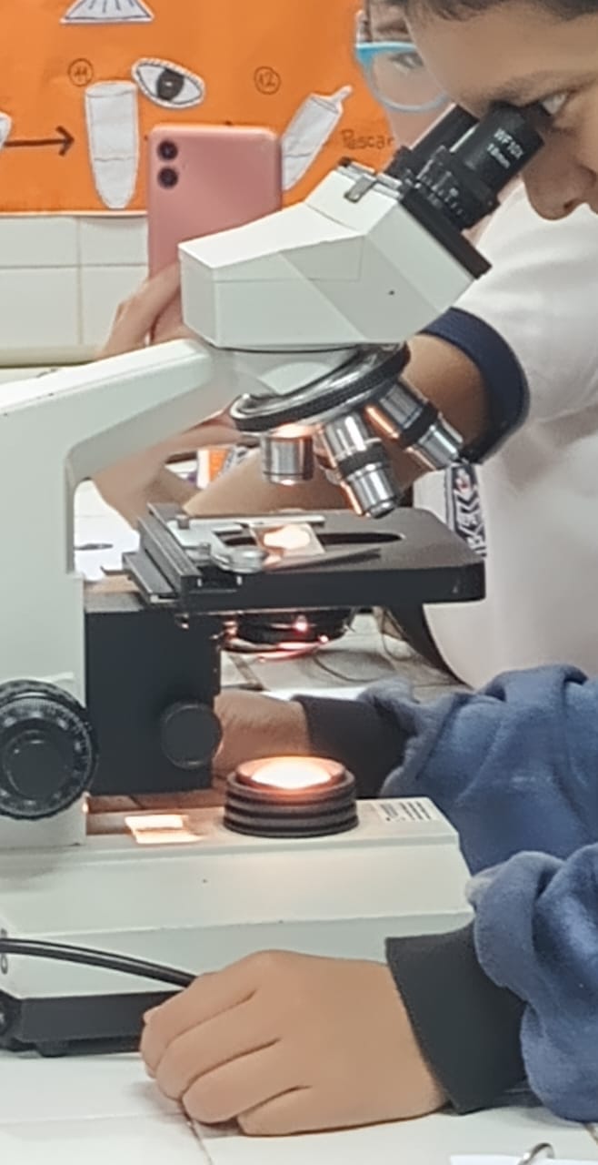 La Epet Nº 2 realizará su Expo Técnica 2025 5 La Epet Nº 2 realizará su Expo Técnica 2025 imagen-4