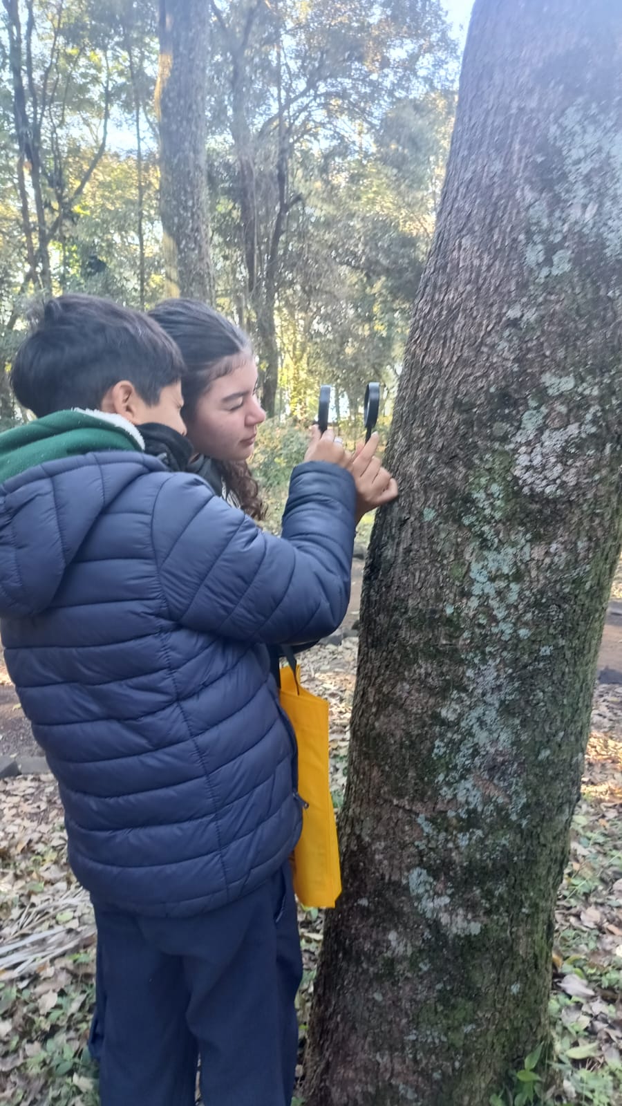 La Epet Nº 2 realizará su Expo Técnica 2025 15 La Epet Nº 2 realizará su Expo Técnica 2025 imagen-14