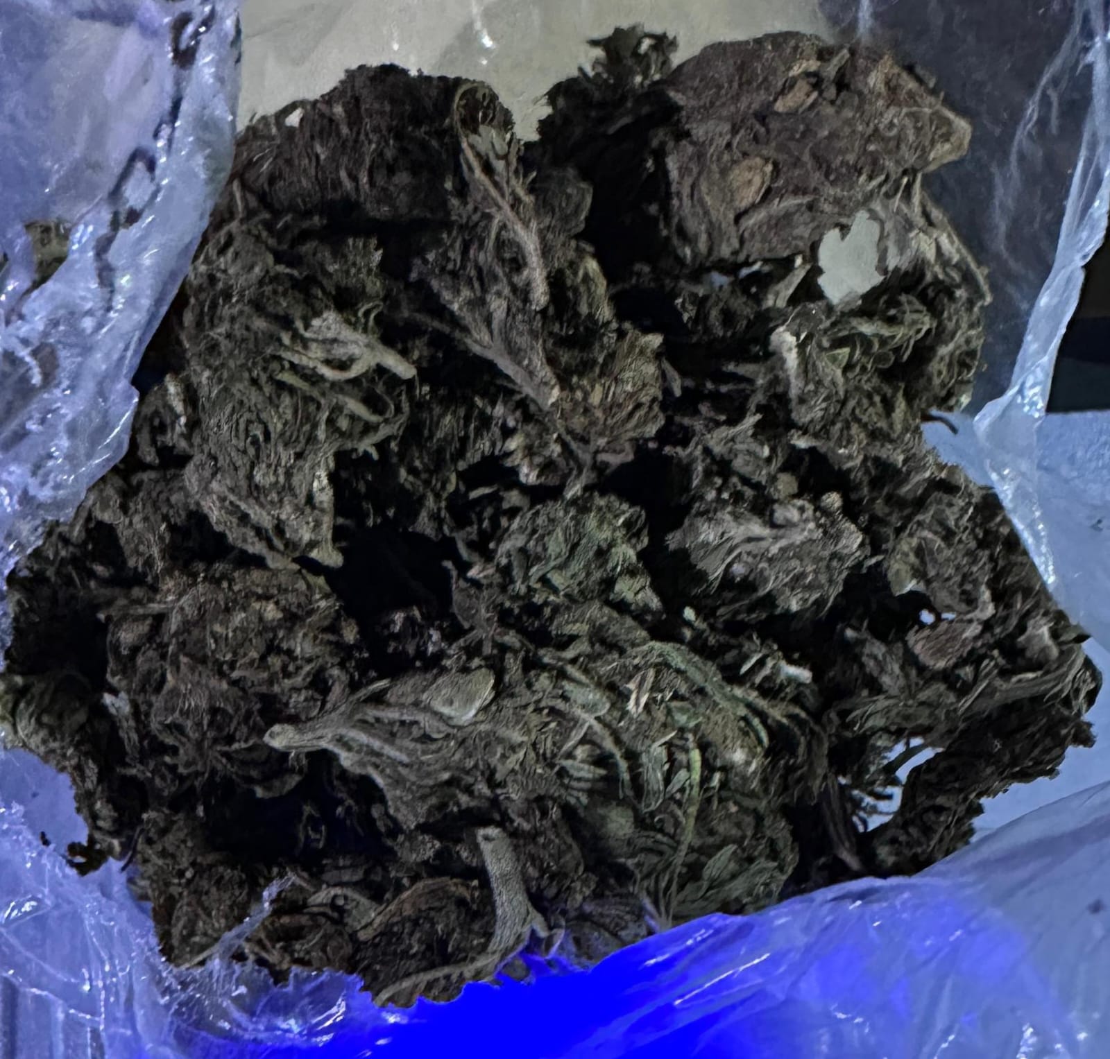 Detuvieron a un presunto "dealer" durante un operativo antinarcóticos en Apóstoles 5 Detuvieron a un presunto "dealer" durante un operativo antinarcóticos en Apóstoles imagen-4