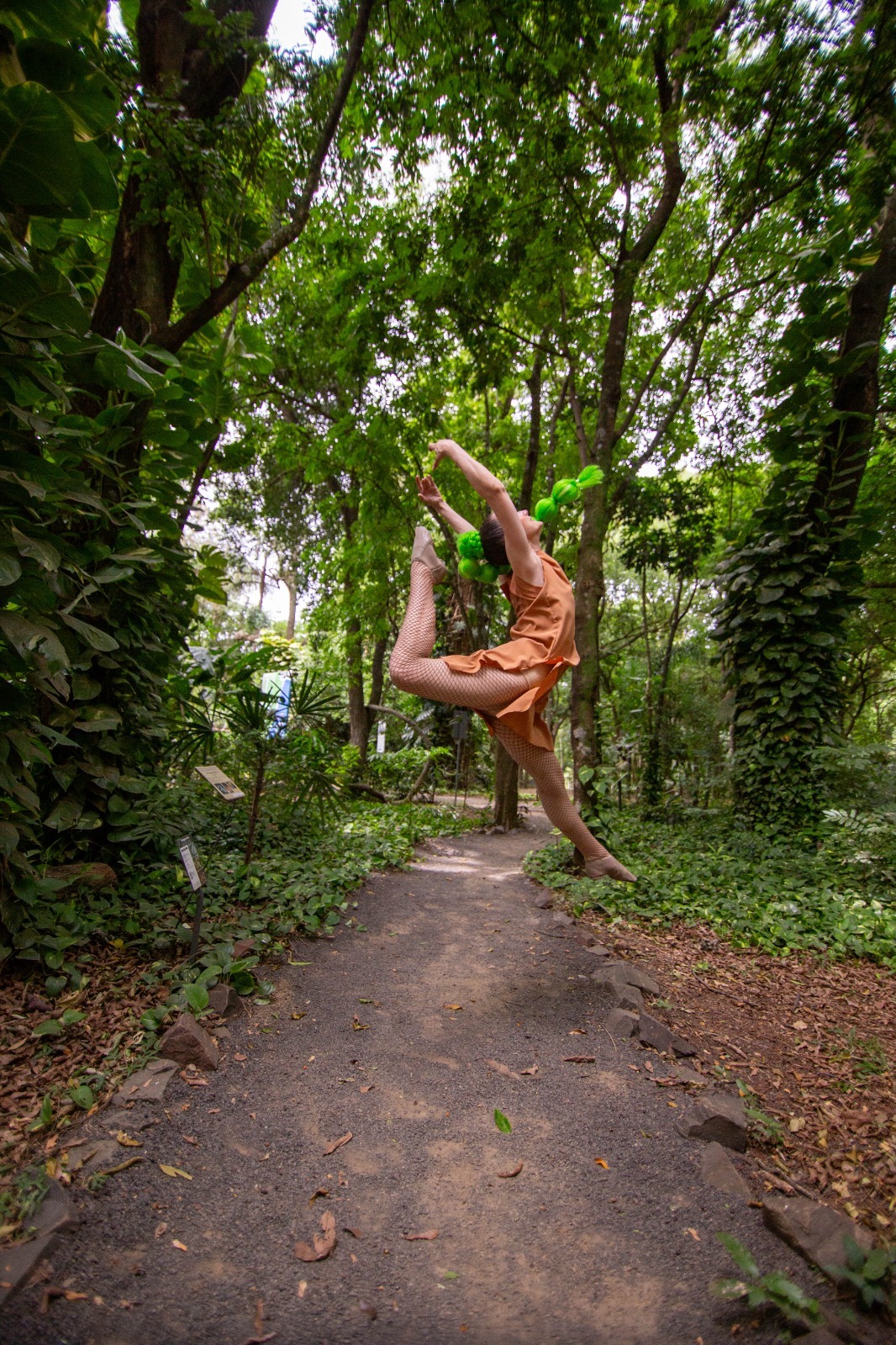 Invitan al Festival "Mujeres Tierra Roja" 9 Invitan al Festival "Mujeres Tierra Roja" imagen-8