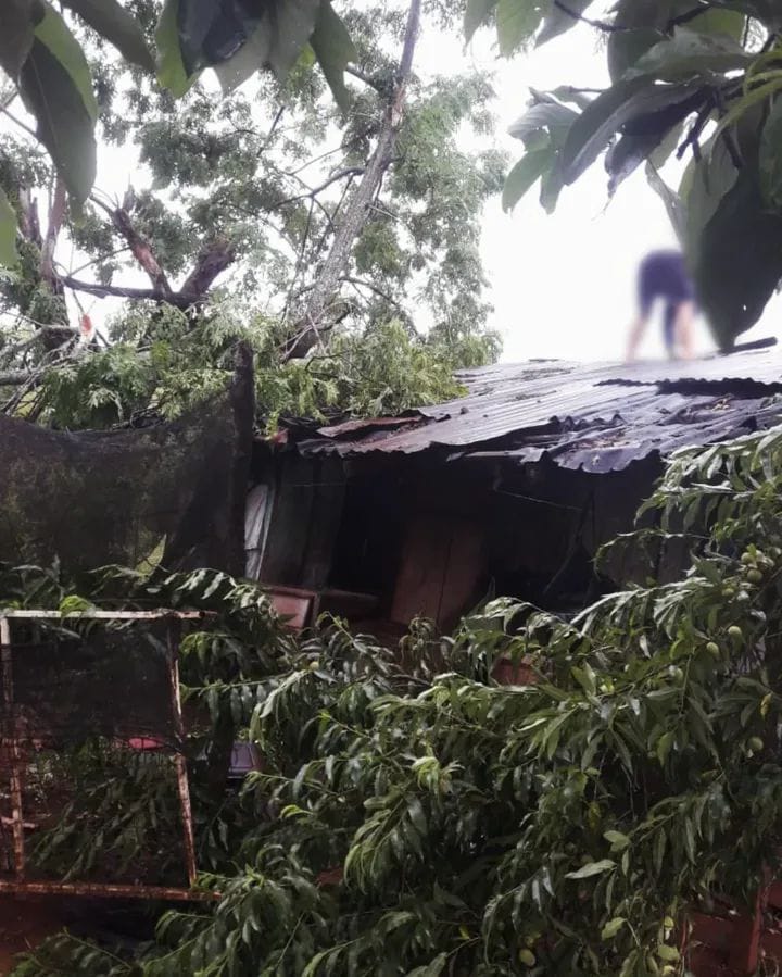 Fuerte temporal azotó 25 de Mayo: voladuras de techos, árboles caídos y corte total de luz y agua en la localidad 7 Fuerte temporal azotó 25 de Mayo: voladuras de techos, árboles caídos y corte total de luz y agua en la localidad imagen-6