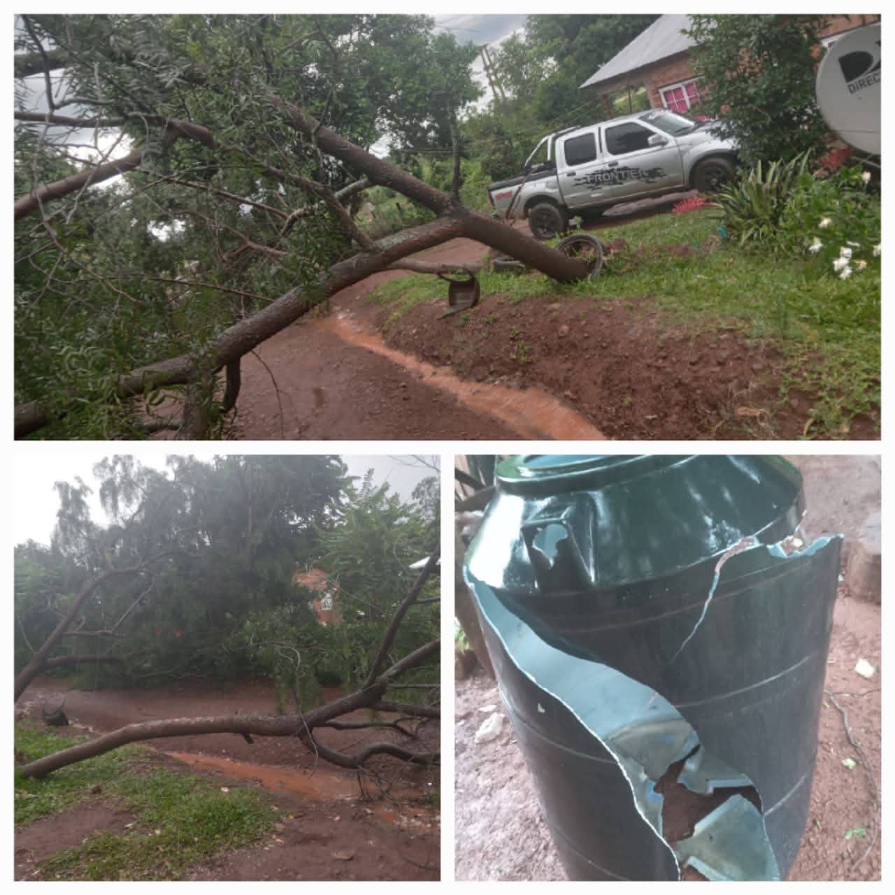 Fuerte temporal azotó 25 de Mayo: voladuras de techos, árboles caídos y corte total de luz y agua en la localidad 5 Fuerte temporal azotó 25 de Mayo: voladuras de techos, árboles caídos y corte total de luz y agua en la localidad imagen-4