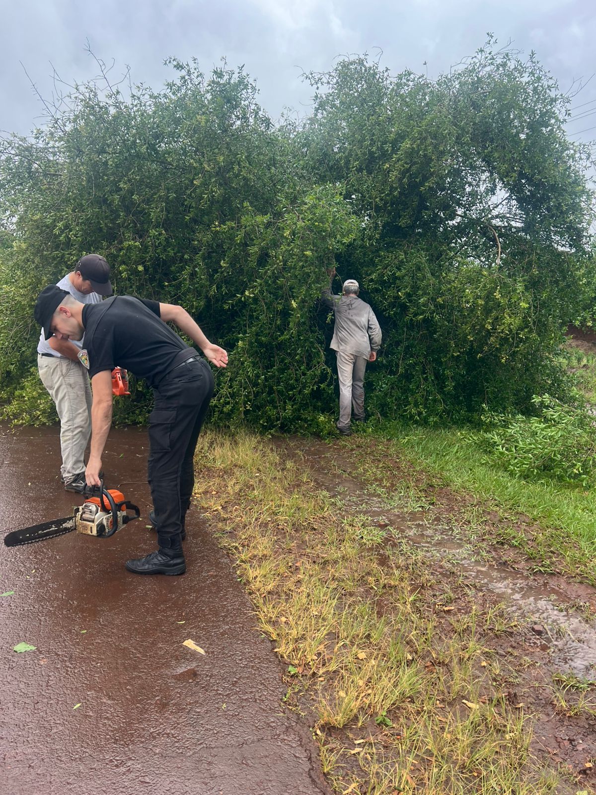 Ráfagas de vientos y lluvias afectaron varias localidades de Misiones: relevan daños y asisten a familias afectadas por el temporal 9 Ráfagas de vientos y lluvias afectaron varias localidades de Misiones: relevan daños y asisten a familias afectadas por el temporal imagen-8