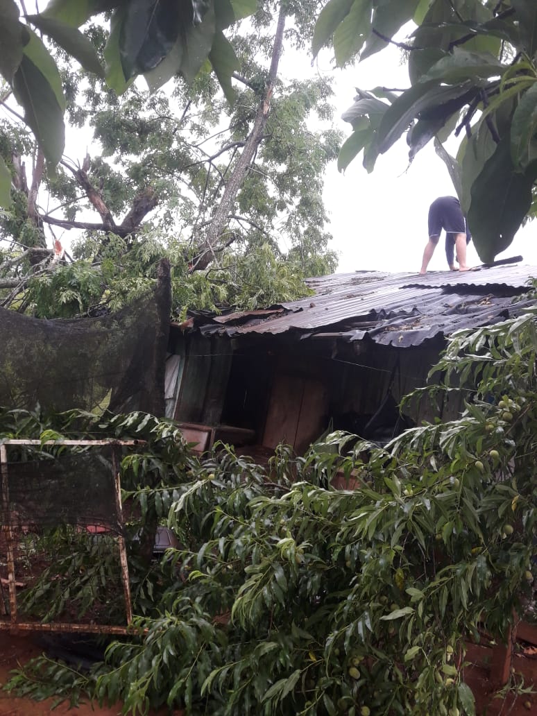 Ráfagas de vientos y lluvias afectaron varias localidades de Misiones: relevan daños y asisten a familias afectadas por el temporal 7 Ráfagas de vientos y lluvias afectaron varias localidades de Misiones: relevan daños y asisten a familias afectadas por el temporal imagen-6