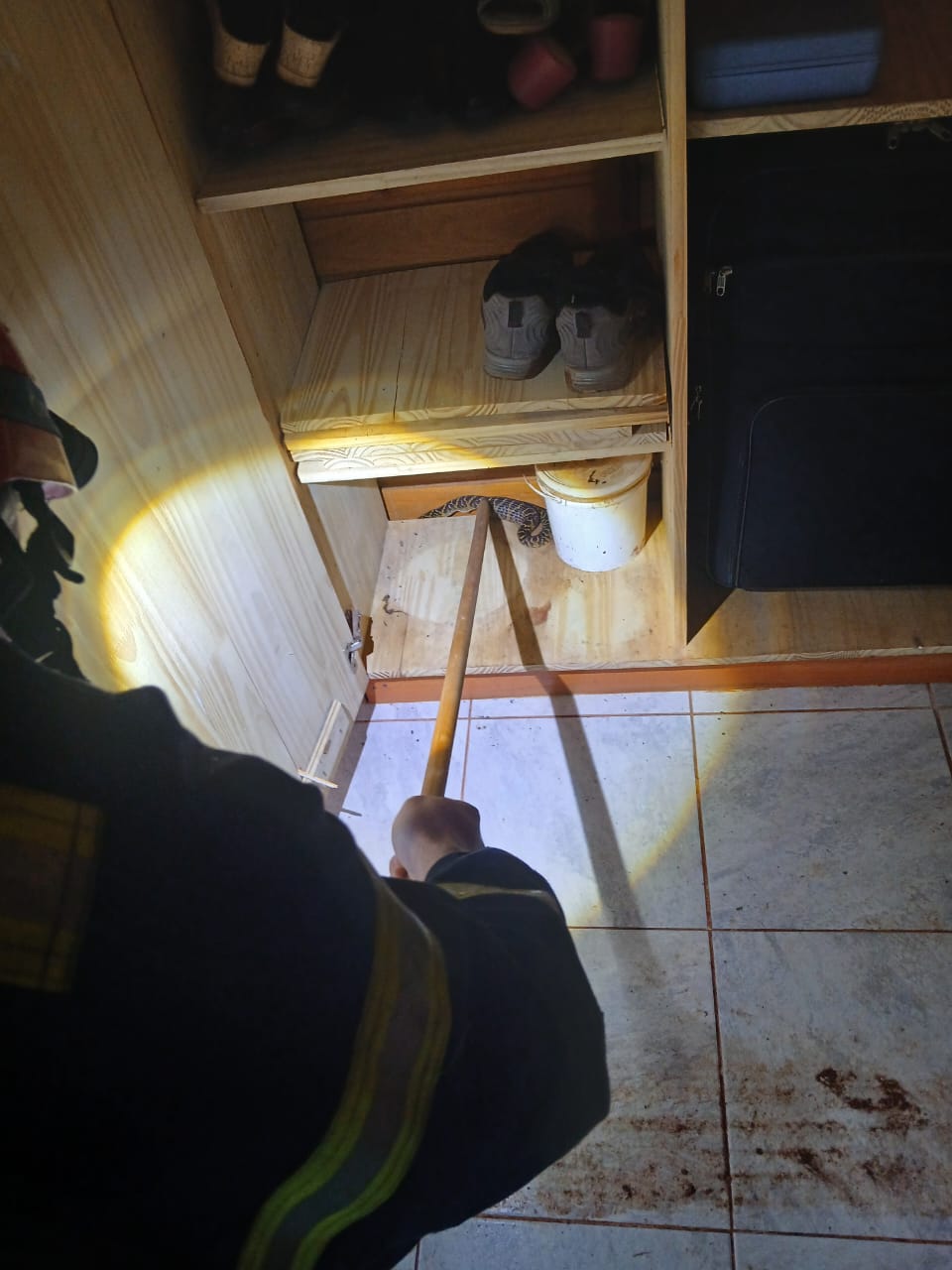 Bomberos rescataron una "falsa yarará" dentro de una vivienda en Apóstoles 3 Bomberos rescataron una "falsa yarará" dentro de una vivienda en Apóstoles imagen-2