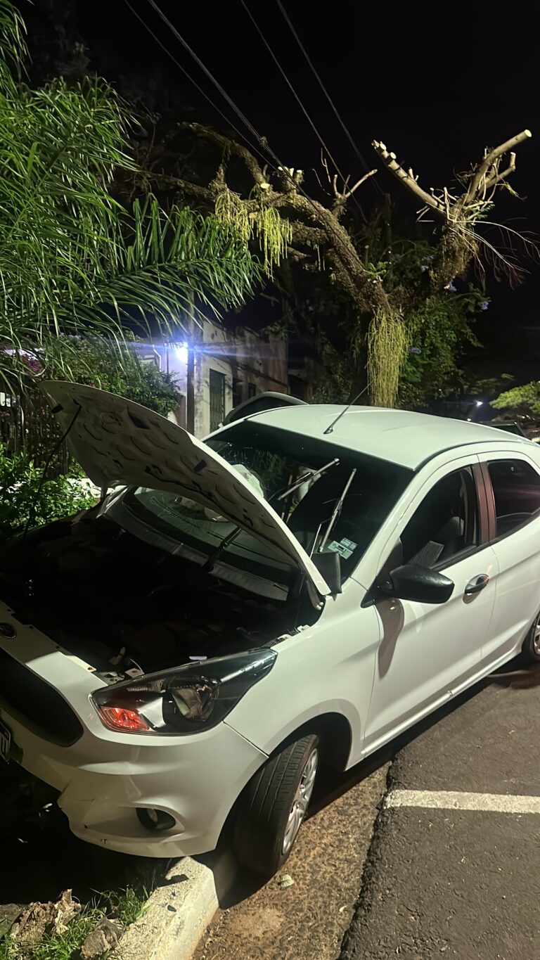 Posadas: un automóvil despistó sobre la avenida Corrientes imagen-9