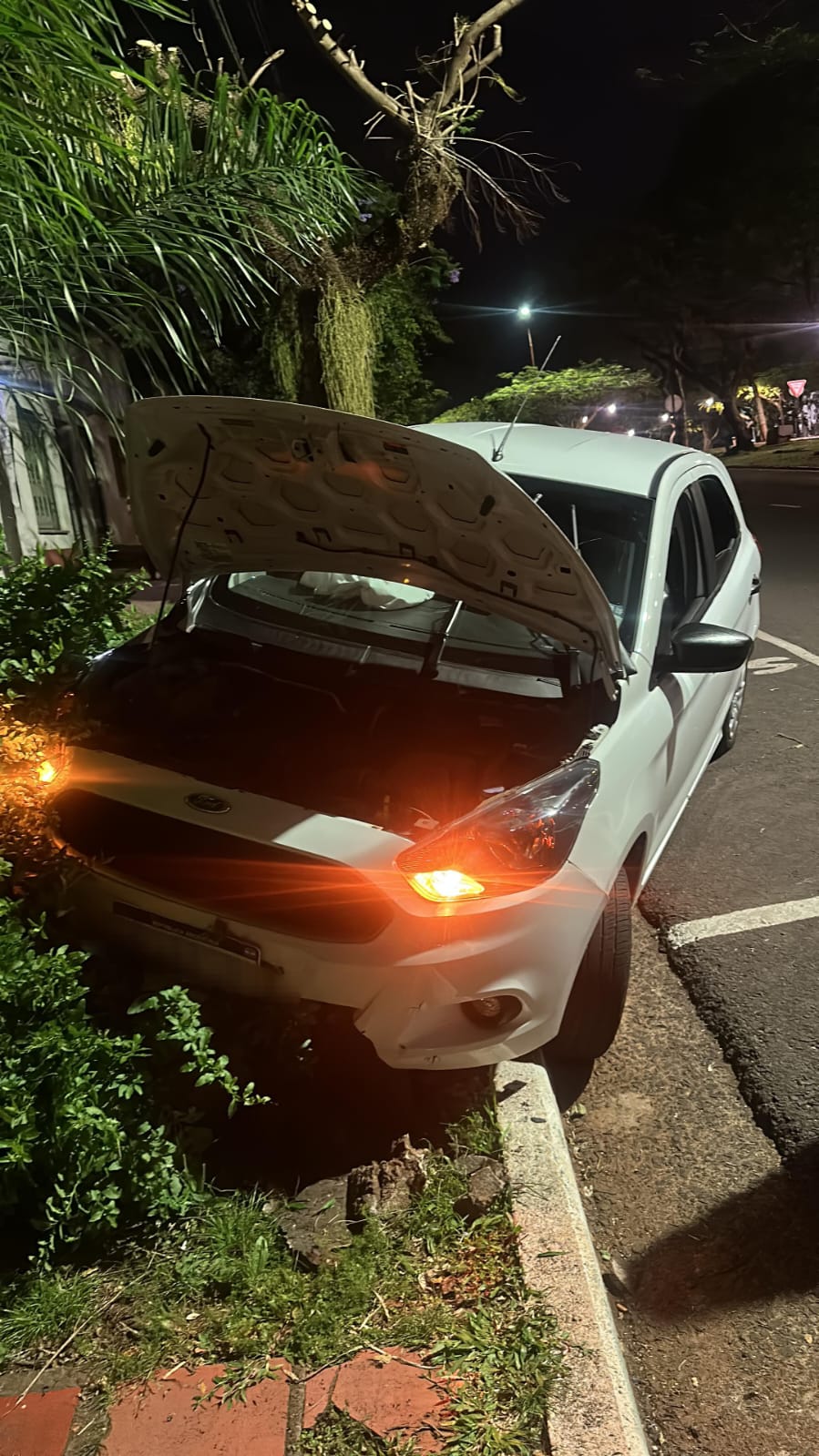 Posadas: un automóvil despistó sobre la avenida Corrientes 3 Posadas: un automóvil despistó sobre la avenida Corrientes imagen-2