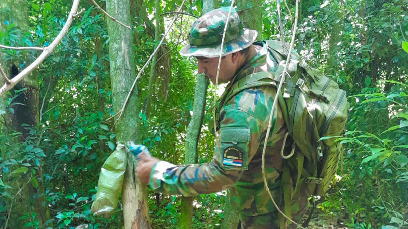 Guardaparques desmantelaron un campamento de cazadores en el Parque Provincial Foerster 5 Guardaparques desmantelaron un campamento de cazadores en el Parque Provincial Foerster imagen-4