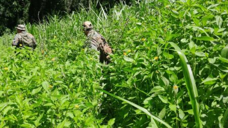 Guardaparques desmantelaron un campamento de cazadores en el Parque Provincial Foerster imagen-1