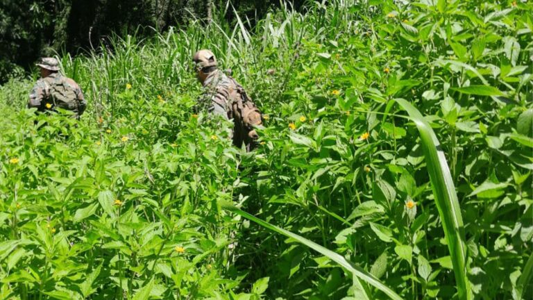 Guardaparques desmantelaron un campamento de cazadores en el Parque Provincial Foerster imagen-16