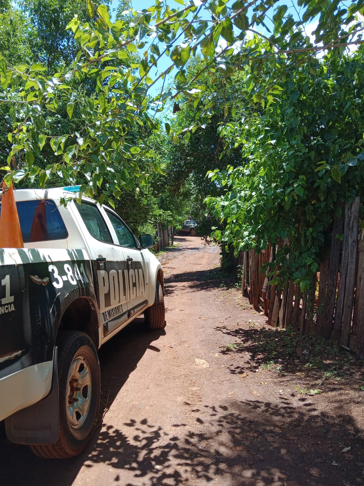 Detuvieron a un hombre que atacó a su madre y apuñaló a su hermano en Apóstoles imagen-2