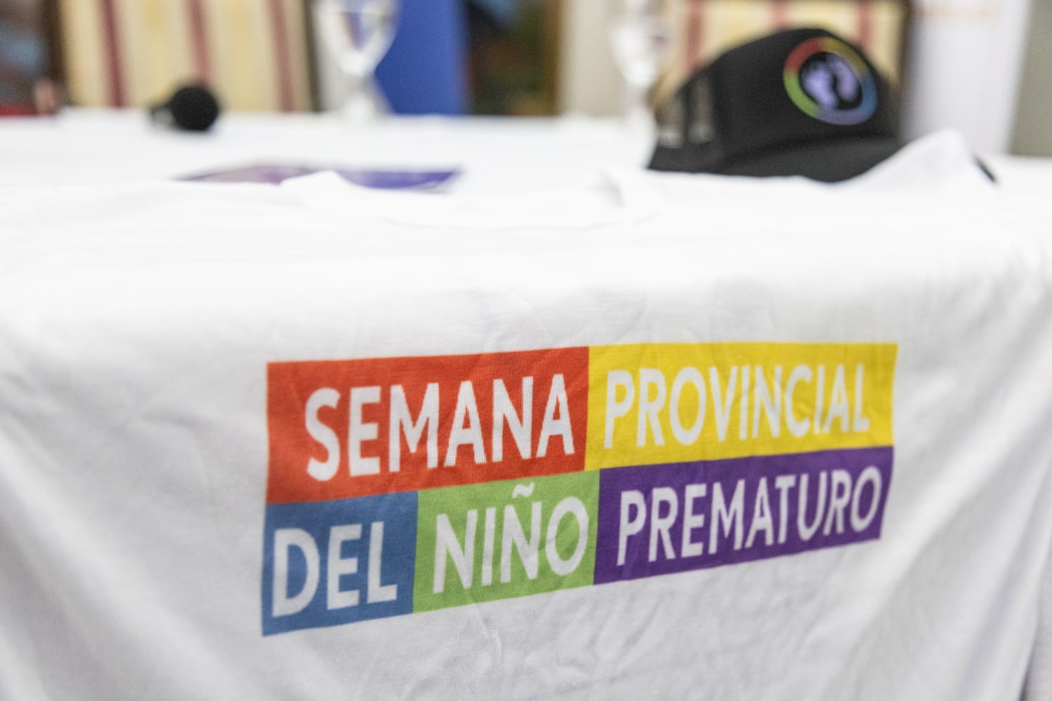 Semana Provincial del Niño Nacido Prematuro: de concientización, de acompañamiento, amor y empatía, destacan 5 Semana Provincial del Niño Nacido Prematuro: de concientización, de acompañamiento, amor y empatía, destacan imagen-4