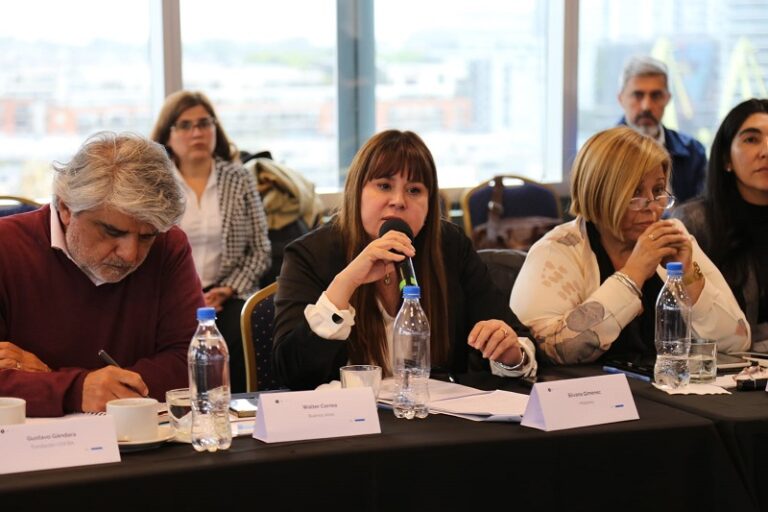 La ministra Giménez expuso el modelo de desarrollo laboral de Misiones en jornada federal del CFI en Buenos Aires imagen-39