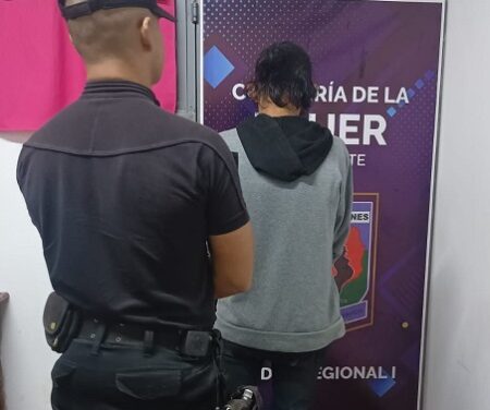 Saltó el muro de un jardín para robar en un comedor y la Policía lo atrapó imagen-9