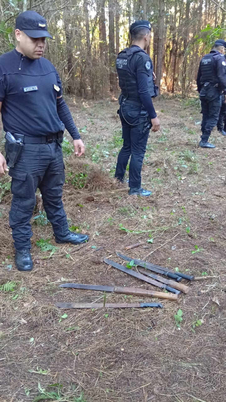 La Policía frenó una toma de terrenos en Jardín América: hay seis demorados 3 La Policía frenó una toma de terrenos en Jardín América: hay seis demorados imagen-2