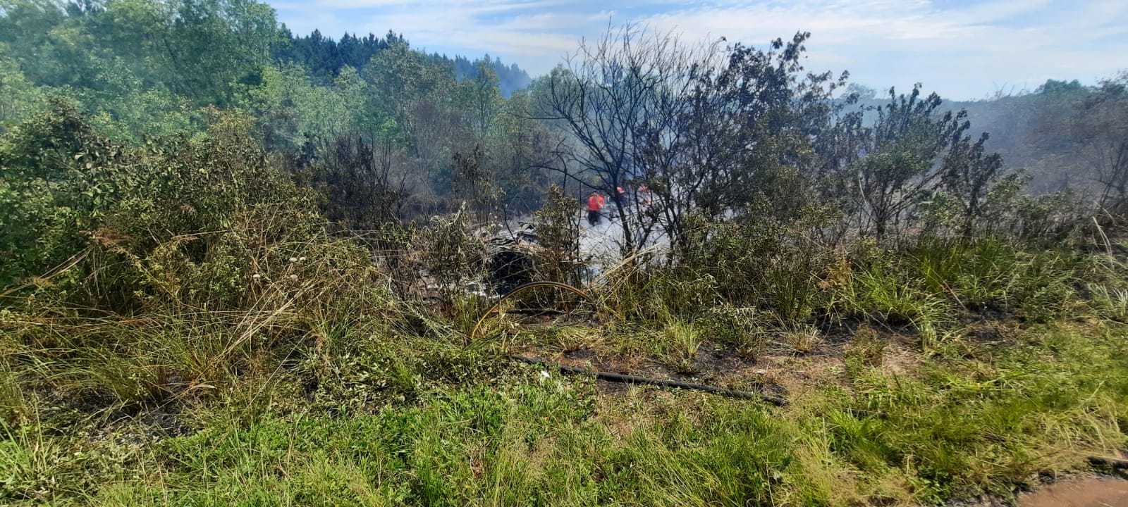 Tragedia en la ruta 103: identificaron a la víctima del siniestro fatal en Mártires, un reconocido empresario de Oberá 7 Tragedia en la ruta 103: identificaron a la víctima del siniestro fatal en Mártires, un reconocido empresario de Oberá imagen-6