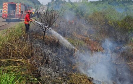 Tragedia en la ruta 103: identificaron a la víctima del siniestro fatal en Mártires, un reconocido empresario de Oberá imagen-3
