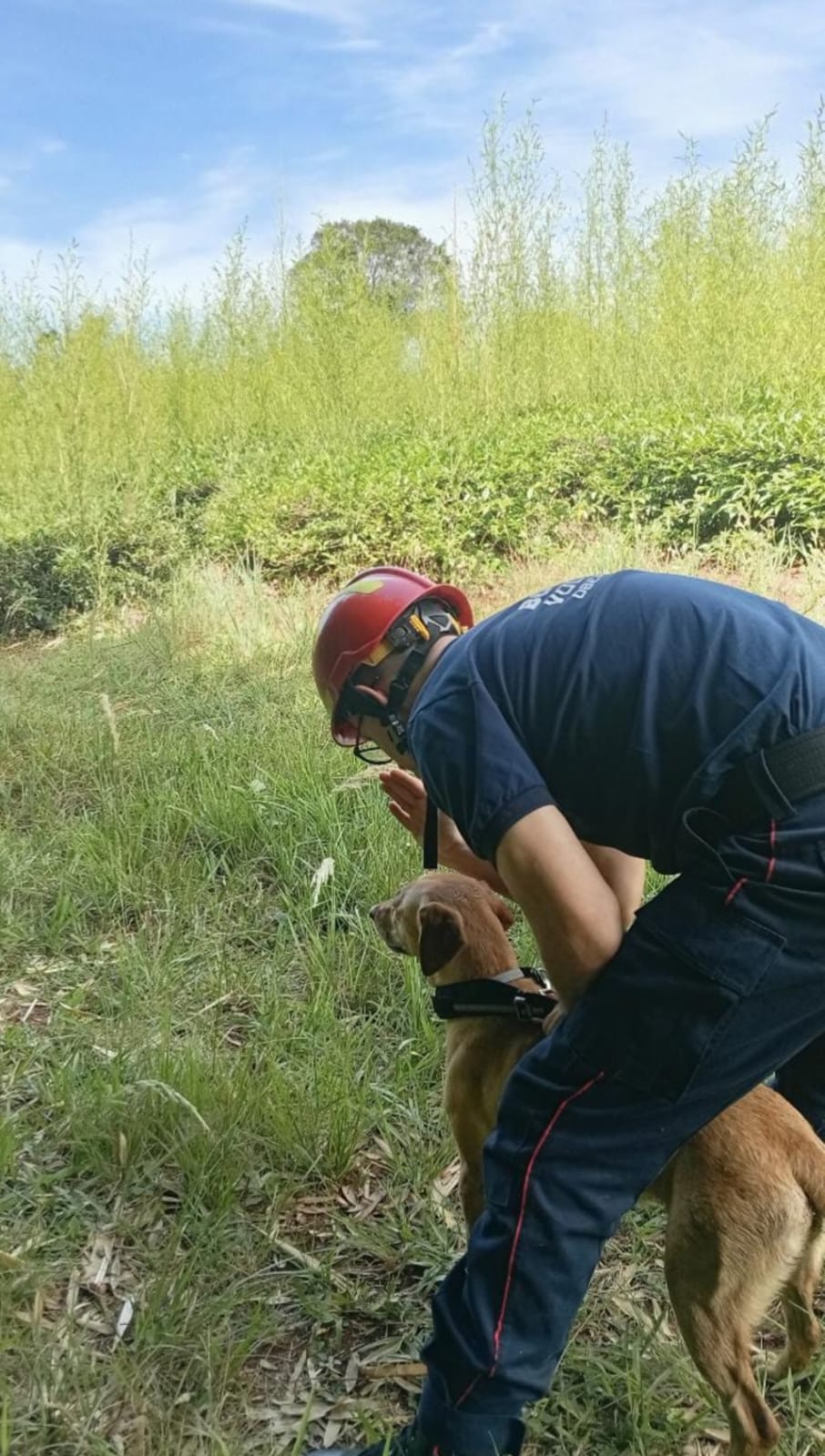 La Policía intensifica la búsqueda de Osvaldo Villalba en la zona Centro imagen-2