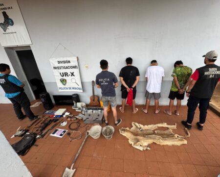 Confirmaron que el pelaje secuestrado en Posadas pertenece a un puma en peligro de extinción Confirmaron que el pelaje secuestrado en Posadas pertenece a un puma en peligro de extinción imagen-8