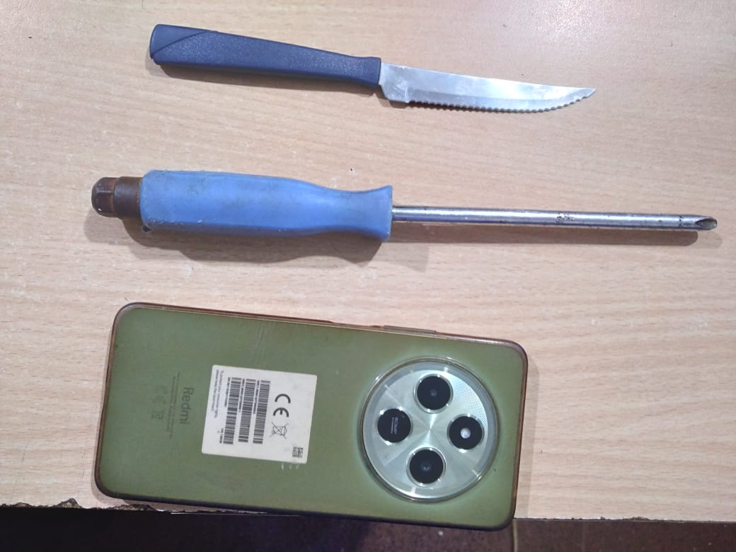 Seguimiento por cámaras y cerrojos: la Policía arrestó a dos ladrones vinculados a robos en distintos barrios imagen-4