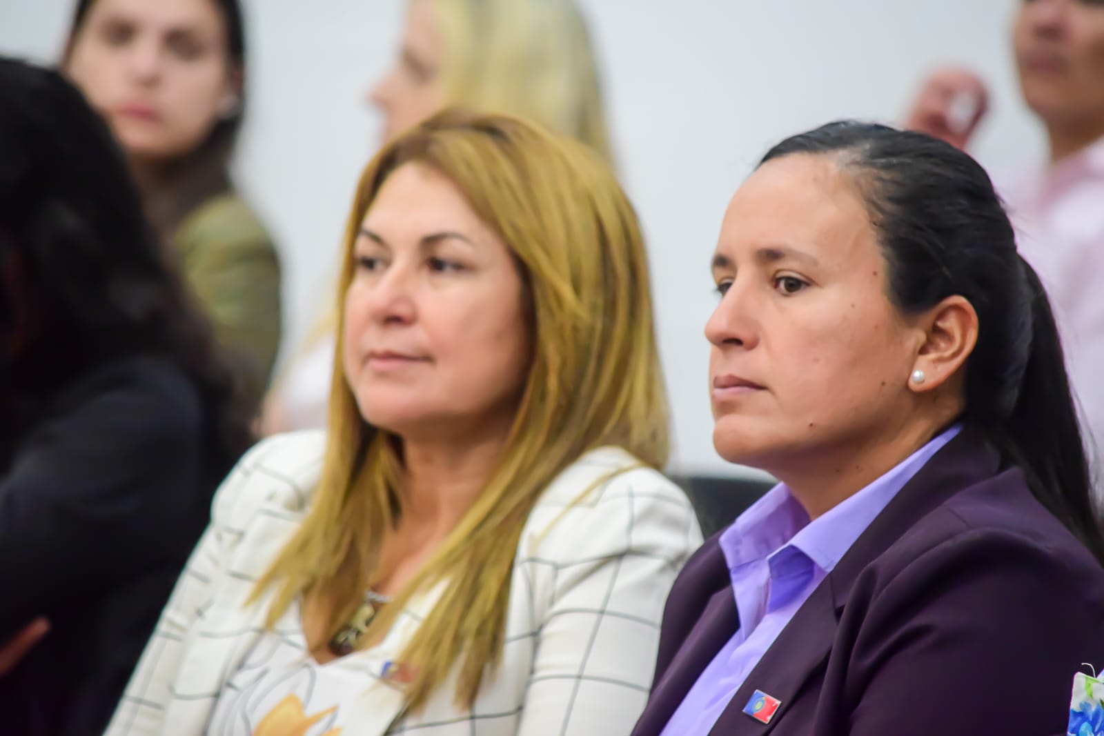 Concejo Deliberante posadeño aprobó el Presupuesto municipal 2026 imagen-12