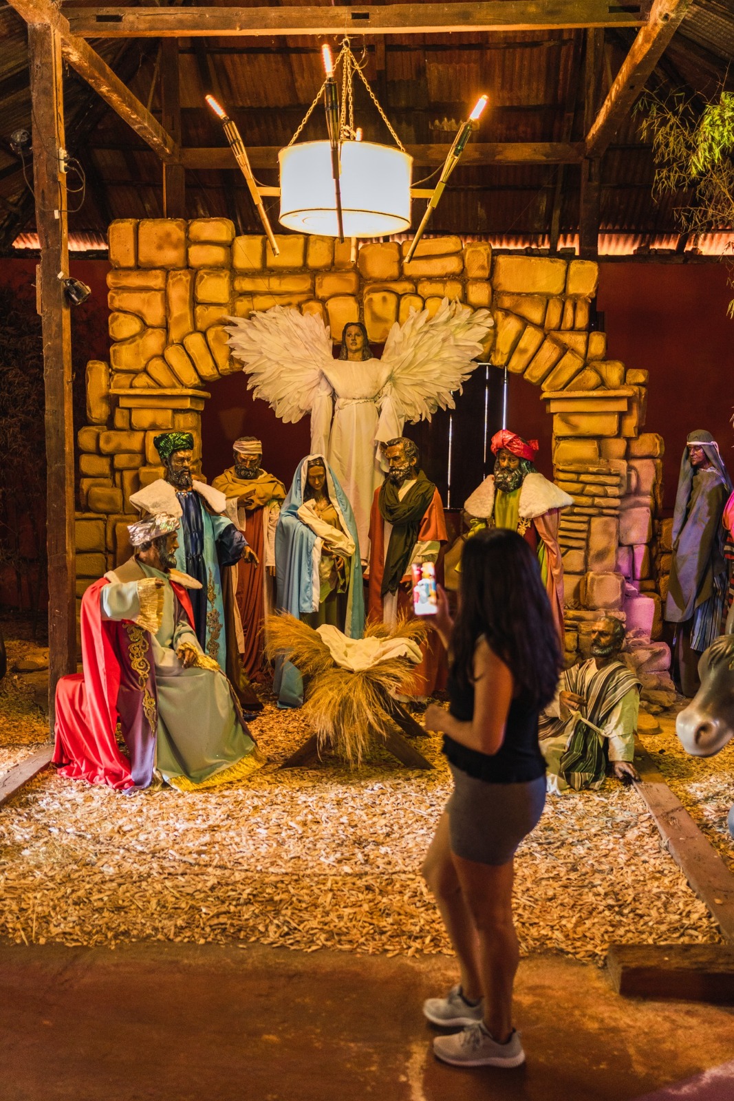 Alem volverá a brillar con la XXX edición de la Fiesta Nacional de la Navidad imagen-16